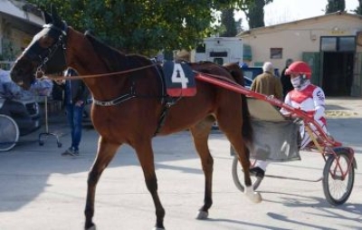 L&rsquo;ippodromo &ldquo;San Paolo&rdquo; riaccende i riflettori per un nuovo appuntamento sportivo