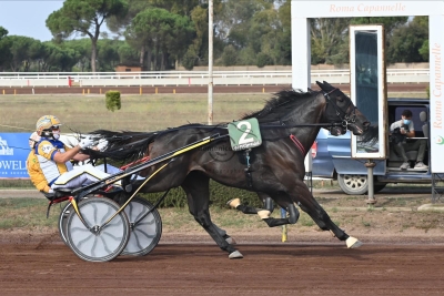 Un estate al passo di trotto all’ippodromo “San Paolo”