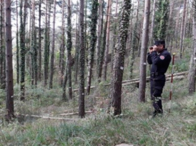 "Non chiamatemi scorzone": L'operazione dei Carabinieri Forestali contro la raccolta illegale di tartufi in provincia di Ascoli Piceno