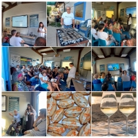 Successo degli &ldquo;Aperitivi di mare e di scienza&rdquo; e dei  &ldquo;Laboratori per bambini&rdquo;