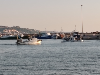 Spunta striscione di protesta a San Benedetto, 'No alla cassa di colmata'