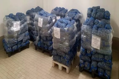 Guardia Costiera Marche sequestra 6.000 chilogrammi di prodotto ittico