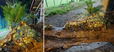 La sorpresa del Presepe allestito sul tronco
