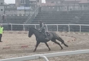 Innocenzi firma la doppietta ad Ascoli Piceno ed apre la stagione dei giochi cavallereschi