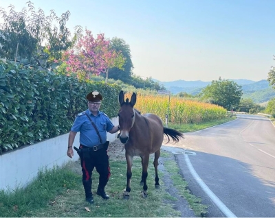 Carabinieri Teramo,  controllo sulla sicurezza stradale