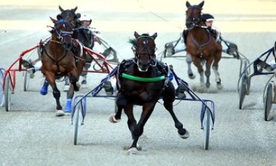 Regalo ippico sotto l’albero al “San Paolo” di Montegiorgio