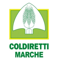 Ascoli: Granaio Italia &egrave; finalmente realt&agrave;