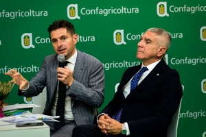 Ascoli Piceno - Nel 2026 i lavori per realizzare una nuova isola ecologica in citt&agrave;