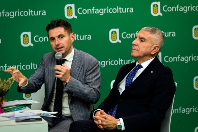 Ascoli Piceno - Nel 2026 i lavori per realizzare una nuova isola ecologica in città