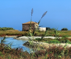 Sabato 28 dicembre in programma l'ultimo appuntamento dell&rsquo;anno con le visite guidate nella Riserva Naturale Sentina