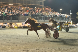 Al &ldquo;San Paolo&rdquo; in arrivo un Mercoled&igrave; da Campioni