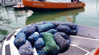 Maxi sequestro di vongole, una tonnellata rigettata in mare
