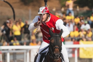 Ascoli Piceno - Il cavaliere Lorenzo Melosso trionfa al Palio di Valfabbrica
