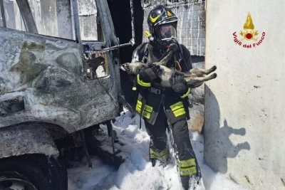 Incendio in un capannone ad Ascoli Piceno, i vigili salvano un cane