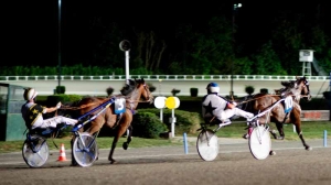 Un tuffo nel cuore del trotto con l&rsquo;ippodromo &ldquo;San Paolo&rdquo; di Montegiorgio