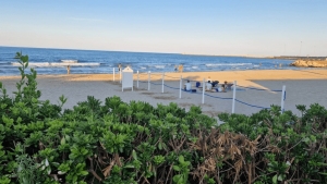 Spiaggia pet-friendly, Autorit&agrave; di Sistema e Capitaneria di Porto firmano l&rsquo;ordinanza