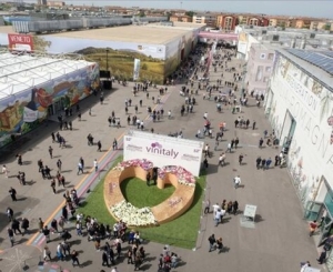 Le Marche al Vinitaly 2026 con il premio "Talenti &amp; Imprese"