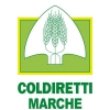 Coldiretti Marche, trebbiatura al via: &ldquo;Potrebbe essere l&rsquo;anno del rilancio ma le colture sono a rischio a causa dei grandi branchi di cinghiali&rdquo;