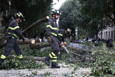 Alberi caduti e danni per il forte vento in varie zone delle Marche