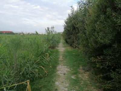 Primo evento estivo in Sentina con “Passeggia, Osserva e Raccogli”