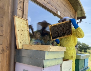 Mielerie Aperte, l&rsquo;appuntamento con la natura in arrivo nel weekend