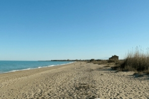 Sentina, approvato il regolamento per le attivit&agrave; in mare