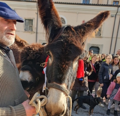 ASBUC PAGANICA-SAN GREGORIO:  ALLA FESTA DI SANT'ANTONIO ABATE BENEDETTI E PREMIATI TUTTI GLI ANIMALI.  MENZIONE SPECIALE PER GALLINA ZOE, CANE PRITZ E GALLO BANCOMAT