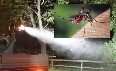 Caso di West Nile nel Fermano, Comune avvia la disinfestazione