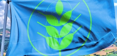 Un Natale sostenibile per festeggiare Spighe Verdi 2025