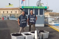 fonte Ansa