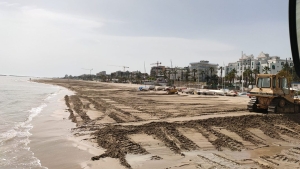 Pulizia spiagge nella notte tra il 23 e il 24 agosto