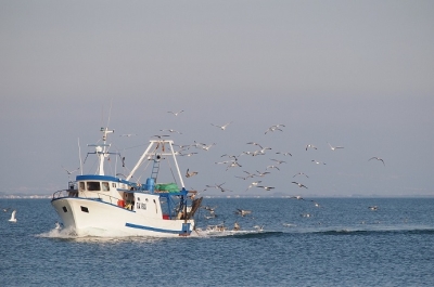 Peschereccio ha rischiato l'affondamento a 20 miglia dalla costa