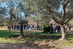 Fonte Ansa