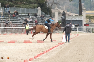 Ascoli Piceno - Quintana, torna il torneo storico: ma anche il corso per cavalieri