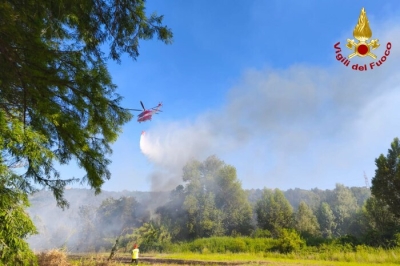 Vasto incendio di sterpaglie vicino a una fabbrica