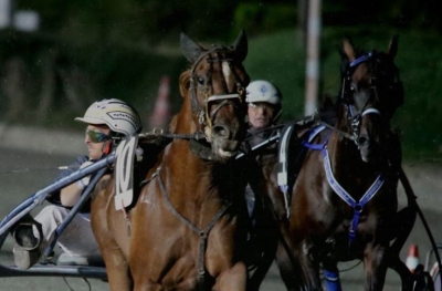 Al &ldquo;San Paolo&rdquo; la giornata di Tris con il Premio Selleria Scarpa Free Horse