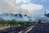 Temperature elevate, in azione l'elicottero per domare incendi nel Fermano