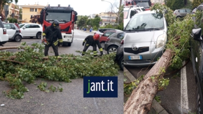 Sfiorata la tragedia a Porto D'Ascoli