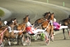 In arrivo nuove emozioni all&rsquo;ippodromo &ldquo;San Paolo&rdquo; di Montegiorgio
