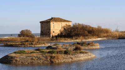 Ultimo appuntamento del 2024 con la storia alla Riserva Sentina