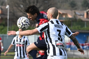 Ascoli Calcio - Picchio alla finestra a tifare il Bra: intanto i numeri sono da record