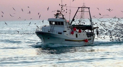 Adriatico, scatta da domani 16 agosto il fermo pesca