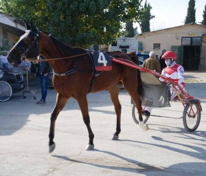 Ultima domenica di giugno all&rsquo;insegna del trotto all&rsquo;ippodromo &ldquo;San Paolo&rdquo;