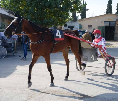 Ultima domenica di giugno all’insegna del trotto all’ippodromo “San Paolo”