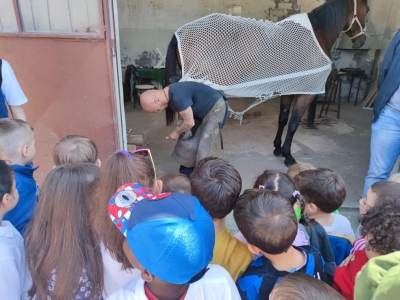 Dalla scuola alla pista, una giornata al fianco dei cavalli per la materna di Montegiorgio