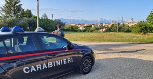 Scoperto dai Carabinieri un allevamento abusivo di cani a Torano Nuovo: denunciato un uomo