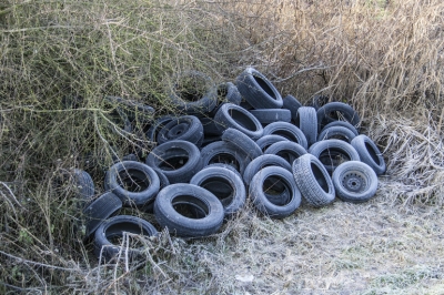 Scoperta dalle Guardie ambientali una discarica abusiva di pneumatici