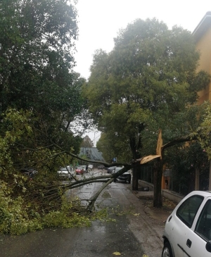 Allerta vento nelle Marche, chiuso tratto Statale 76 a Mergo