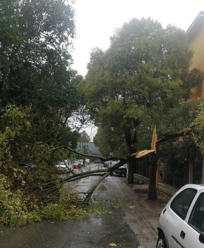 Allerta vento nelle Marche, chiuso tratto Statale 76 a Mergo