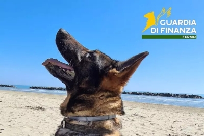 Addio a Fancy, cane antidroga della Guardia di Finanza
